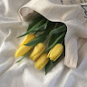 Meet your Posher, Janet